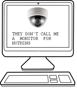 20 Surveillance Monitor