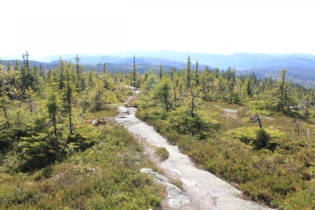 The Tseringma Pilgrimage, 1971: An eco-philosophic ‘anti-expedition’