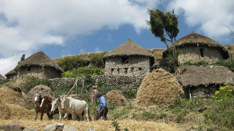 Patterns of Commoning: The Resilience of an Indigenous Ethiopian Commons