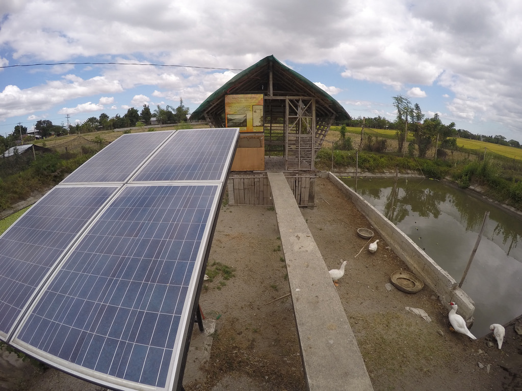 3 Steps to Building Just Transition Now with a Permanent Community Energy Cooperative