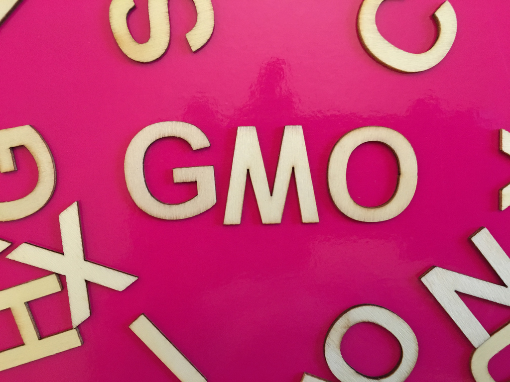 Opposition To GMOs Is Neither Unscientific Nor Immoral