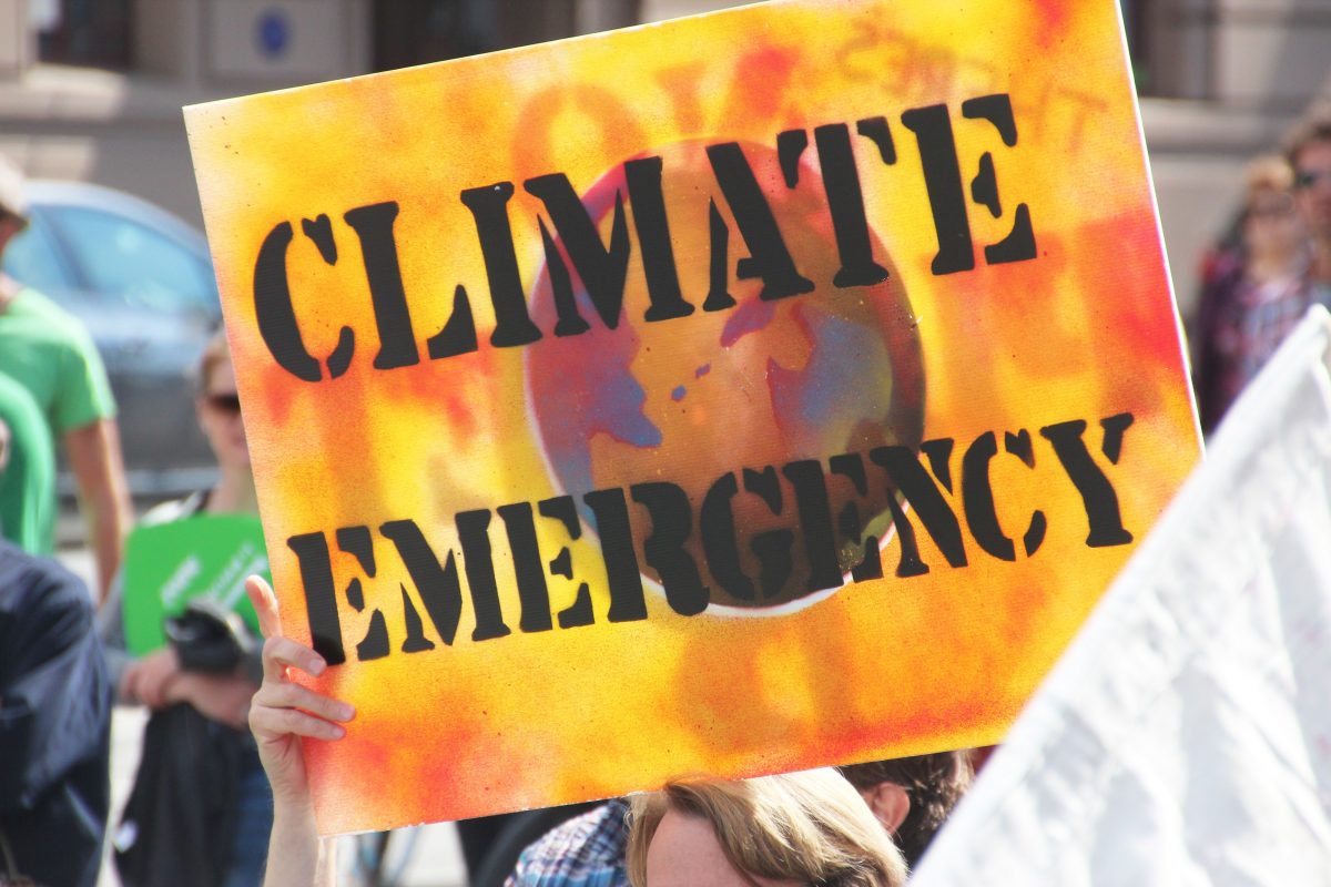 What would a climate emergency plan look like?