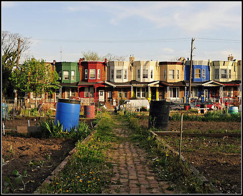 Glenwood Green Acres is a community garden built on formerly vacant land in North Central Philadelphia. 