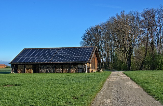 Blockchain Community Solar: The Value of a Renewable Energy Reputation