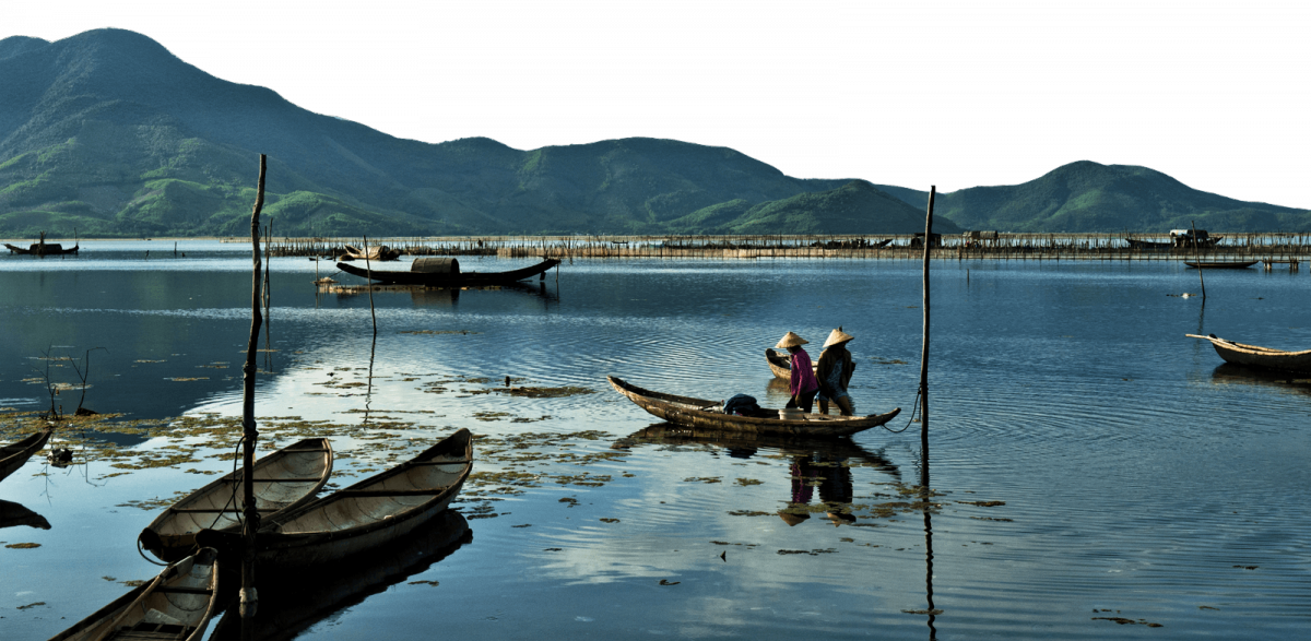 The politics of the agro-ecological movement in the Global North and the Global South