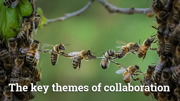 The Key Themes of Collaboration